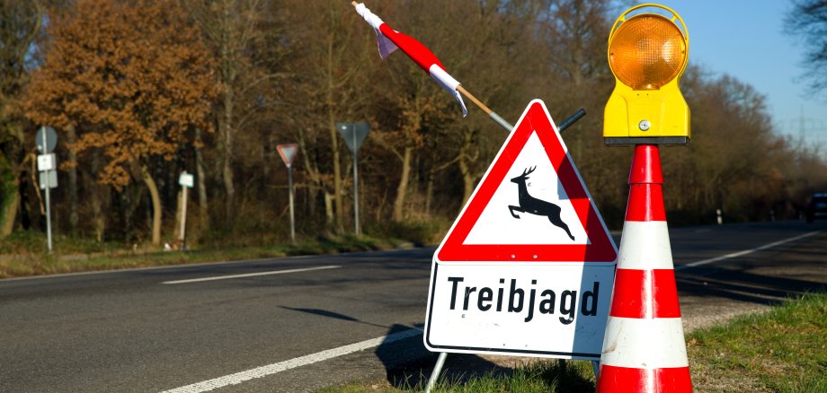 Treibjagd